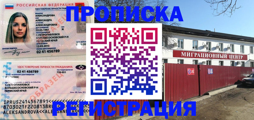 прописка в квартире в Камышлове